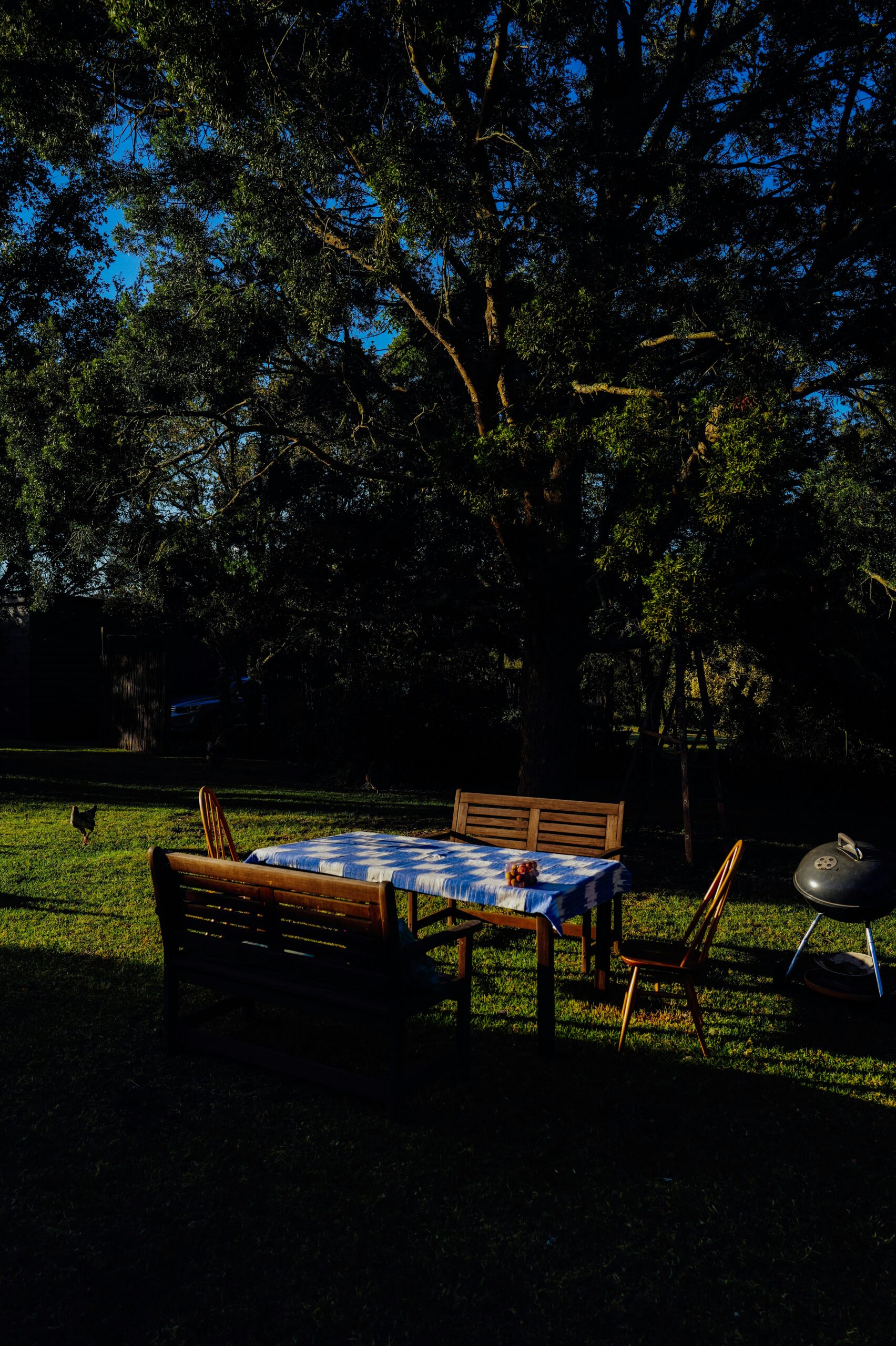 Backyard 1 Scaled