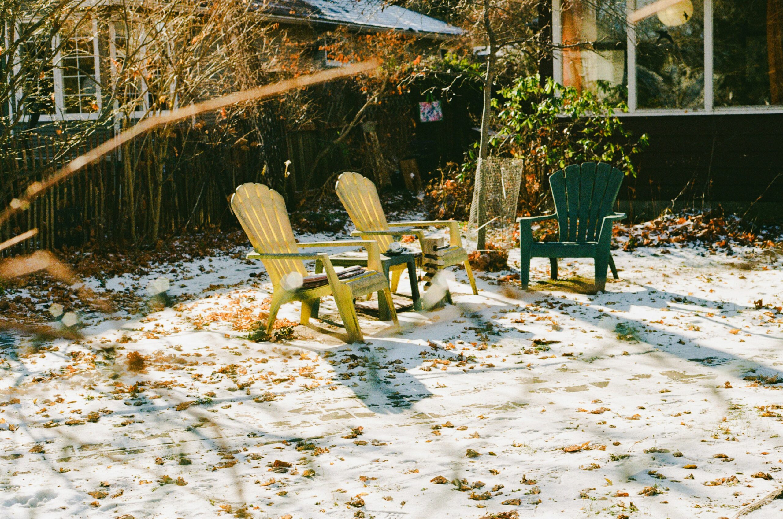 Backyard 6 Scaled